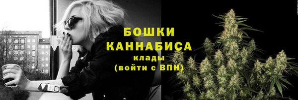 винт Богданович