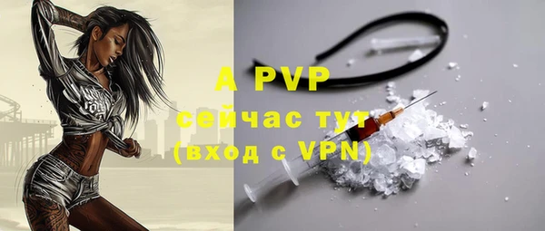 винт Богданович