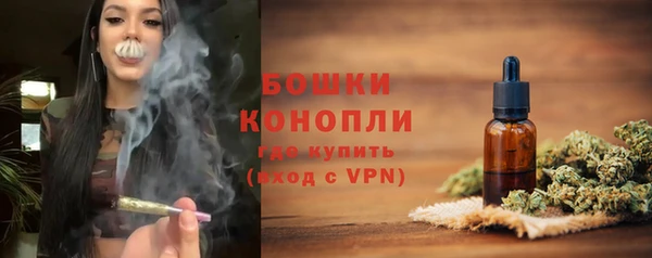 МДПВ Богородицк