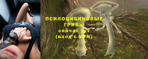винт Богданович