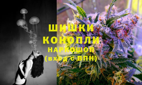 МДПВ Богородицк