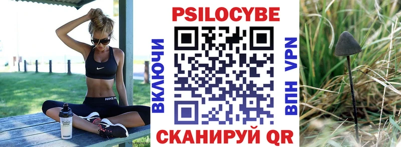 ОМГ ОМГ онион  Ильский  Псилоцибиновые грибы MAGIC MUSHROOMS  купить наркоту 